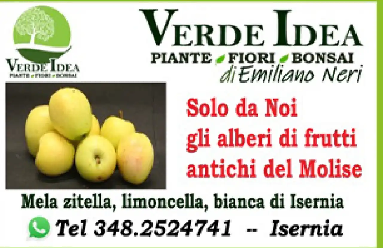 Banner Verde Idea frutti antichi del Molise 306 per 198 pixel